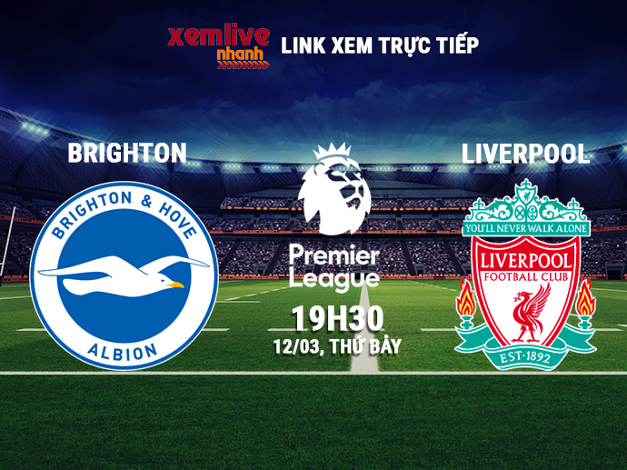 Trực tiếp Brighton vs Liverpool, 19h30 ngày 12/03/2022